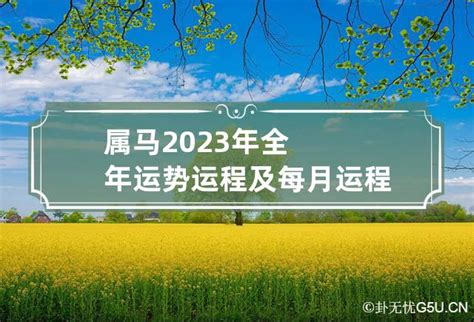 1978属马2023年运程|1978年属马人2023年运势及运程详解 78年出生45岁生肖马2023年。